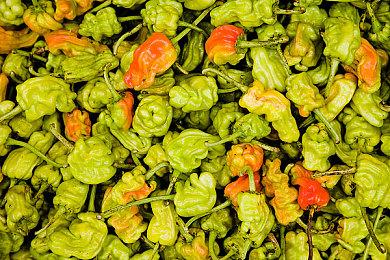 Devolver Digital将在下周直播宣布中把游戏延期